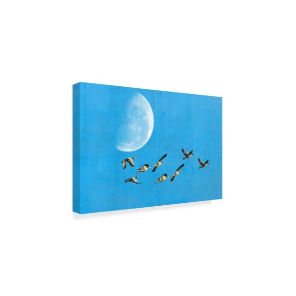 Ata Alishahi 'Birds And Big Moon' Canvas Art,30x47